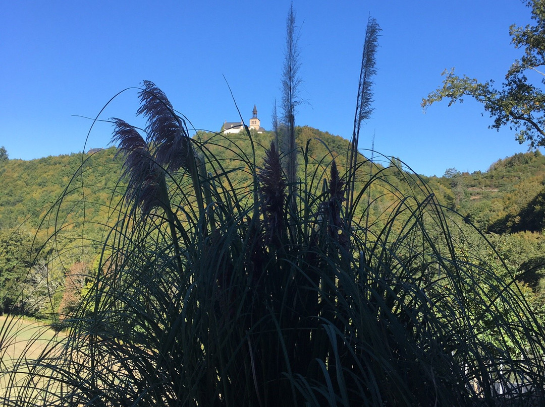 Les 5 Petits Lapins主图