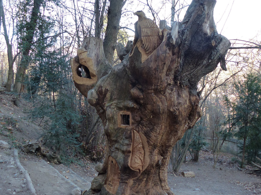 Parco Naturale della Rocca di Cavour景点图片