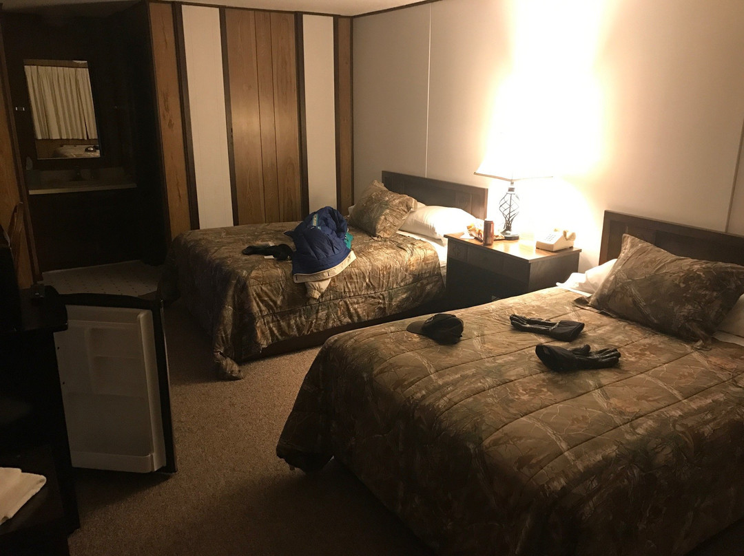 Winter Northern Lights Motel主图