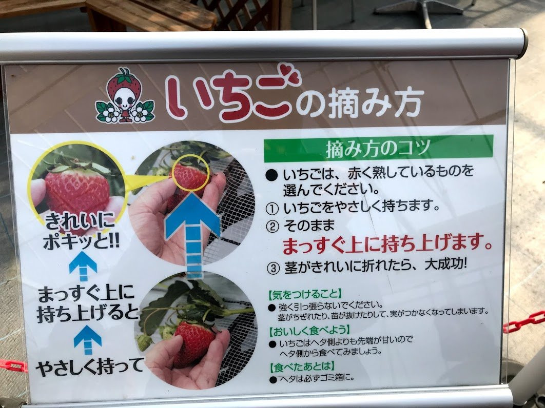 Nagashio Farm-三田市必去景点