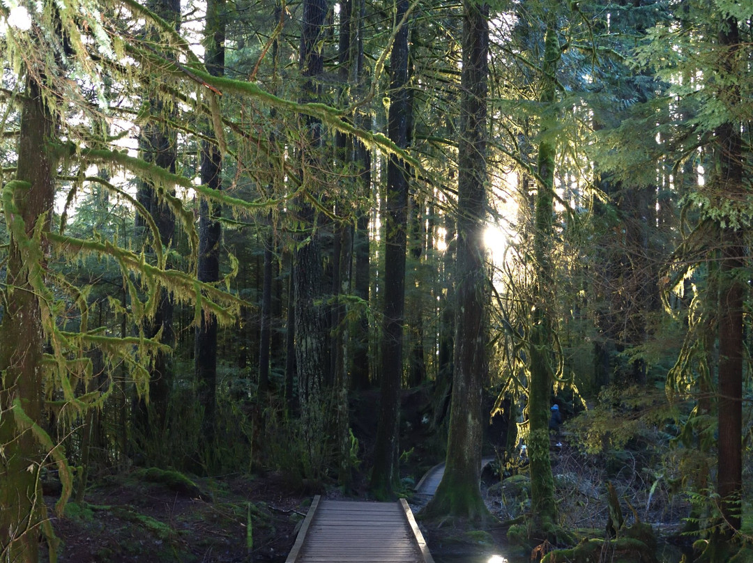 Lynn Headwaters Regional Park-北温哥华必去景点