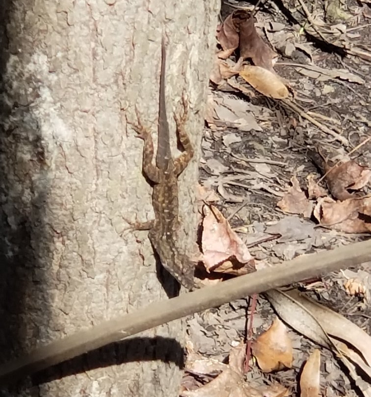 Econ River Wilderness Area-Oviedo必去景点