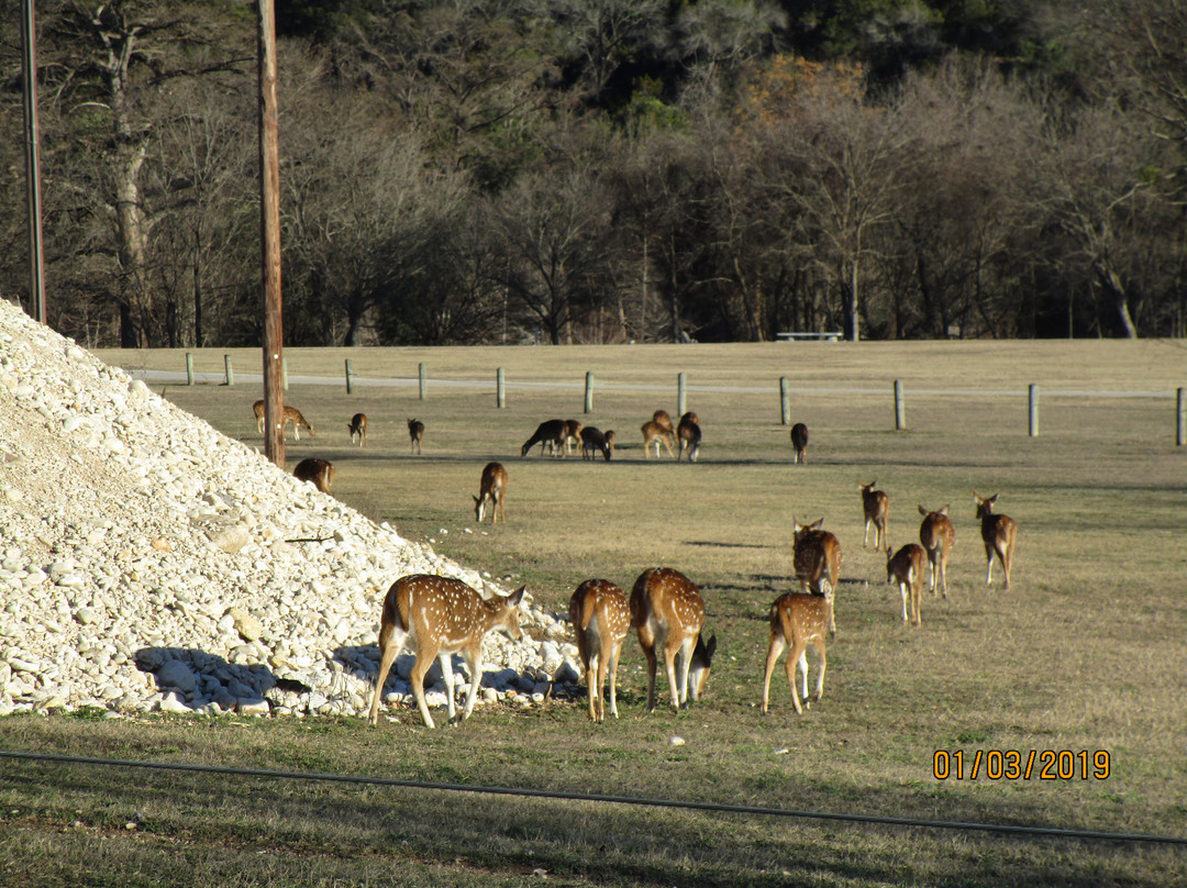 Bandera City Park-Bandera必去景点