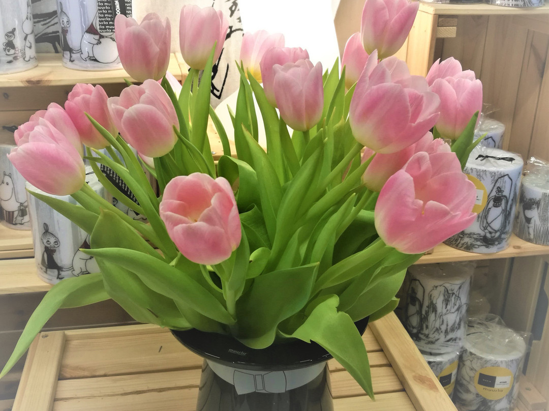 Moomin Shop Rovaniemi-罗瓦涅米必去景点