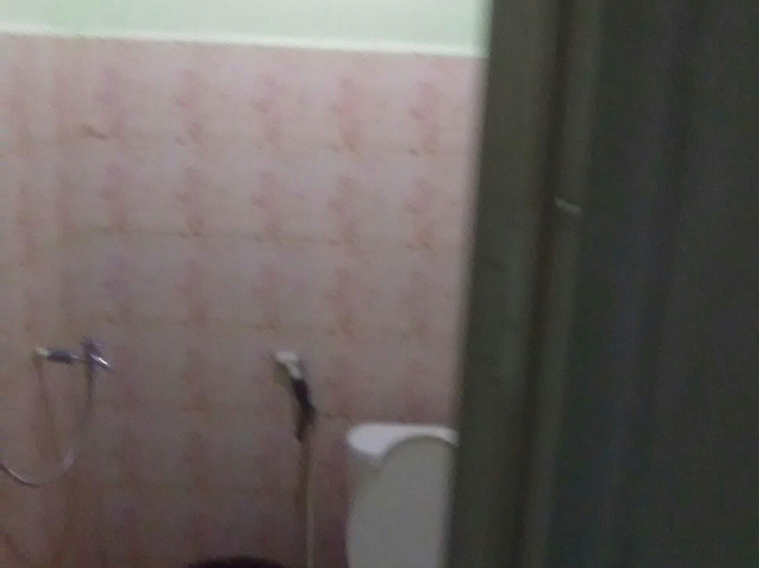 Muara Tembesi旅游攻略图片