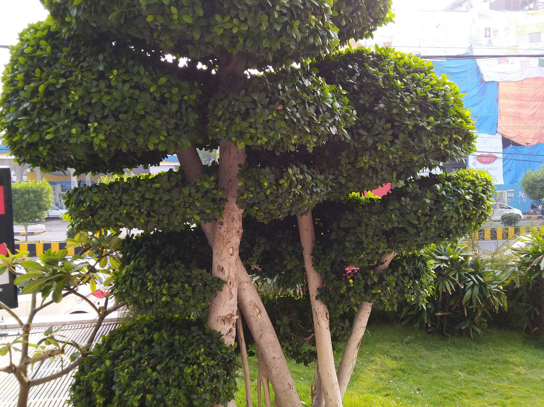 Pvp Square Mall-维杰亚瓦达必去景点