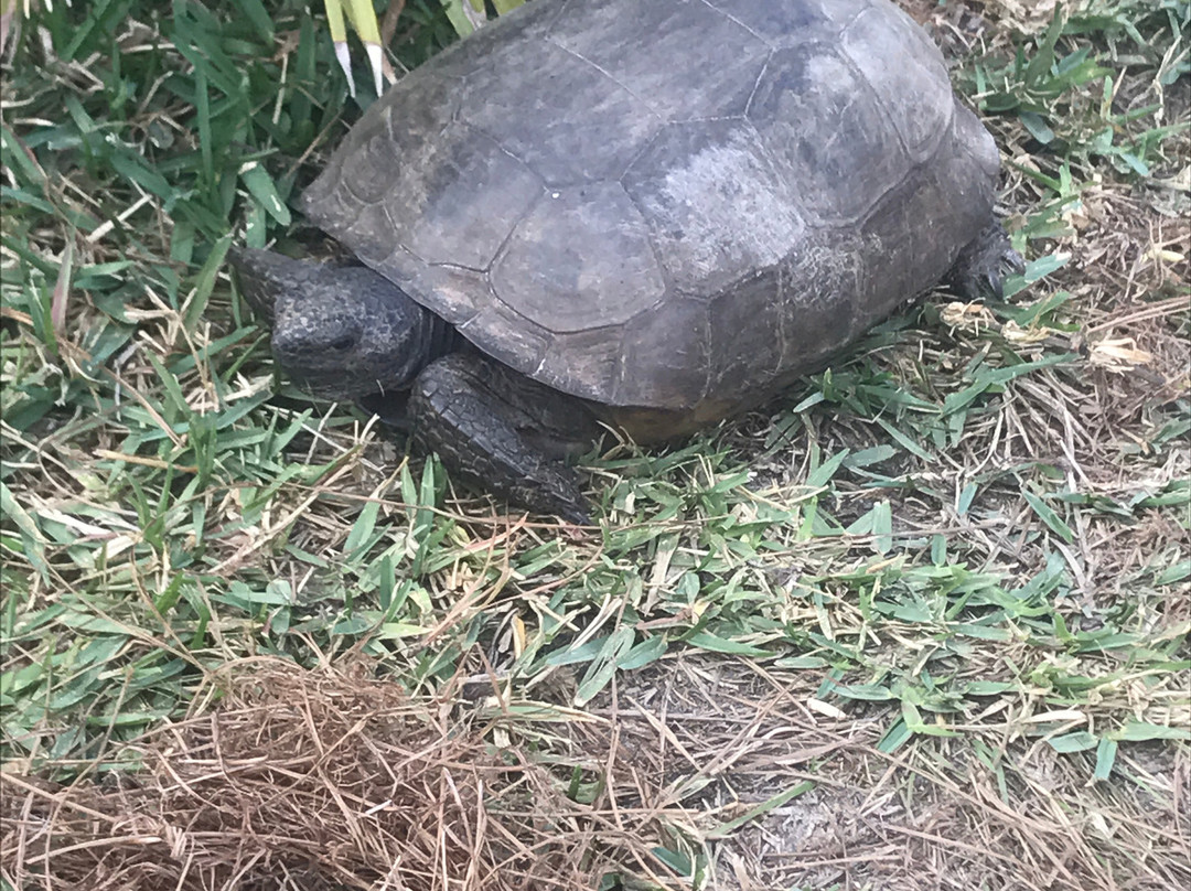 Ann & Chuck Dever Memorial Regional Park-恩格尔伍德必去景点