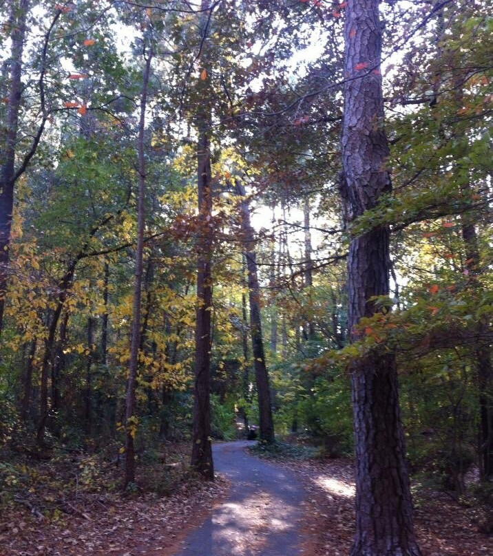 Golf Cart Paths-桃树市必去景点