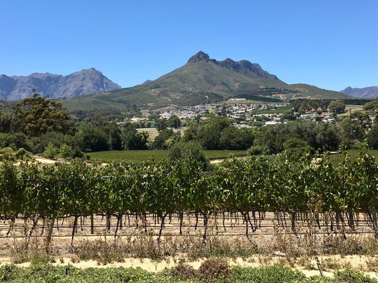 Tuk Tuk Stellies-斯泰伦博斯必去景点