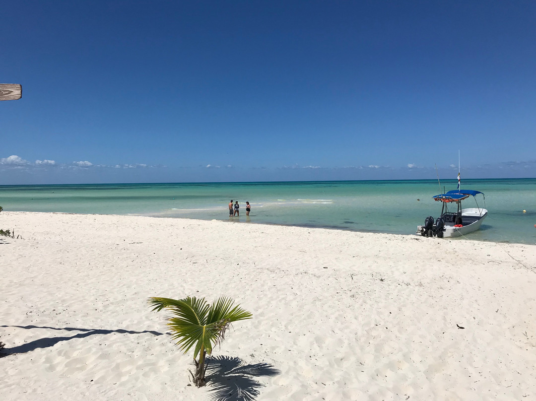 Cozumel Pearl Farm景点图片