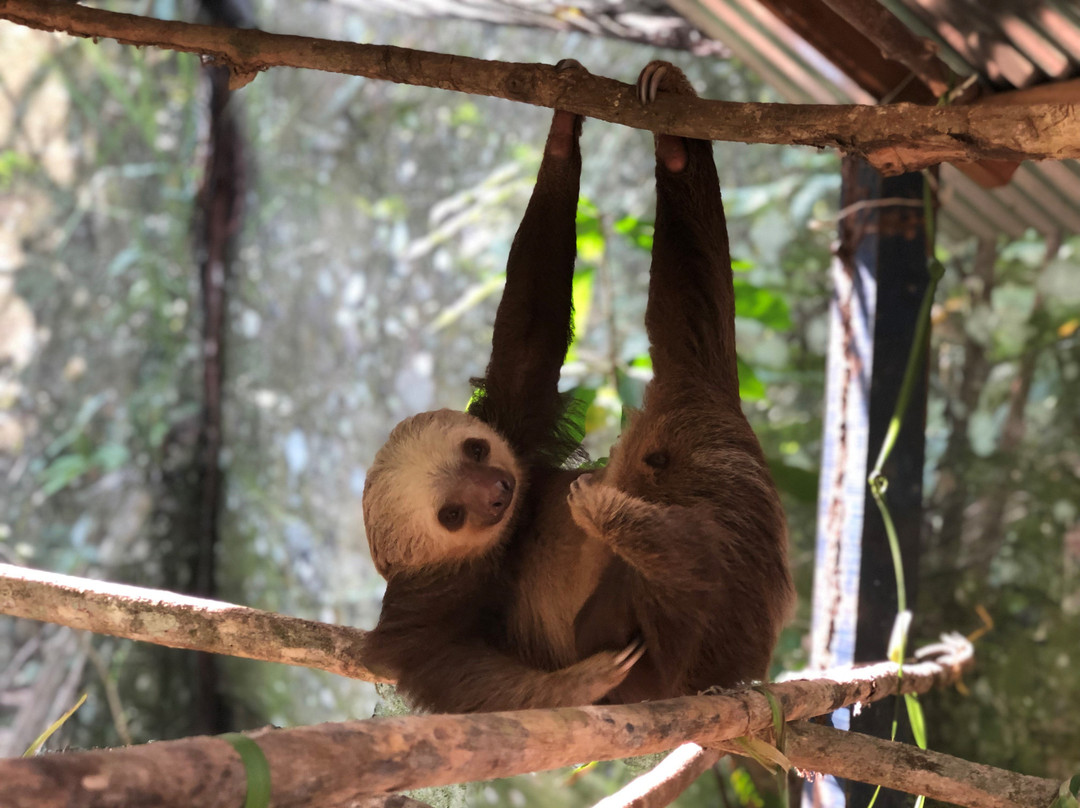 Tree of Life Wildlife Rescue Center and Botanical Gardens景点图片