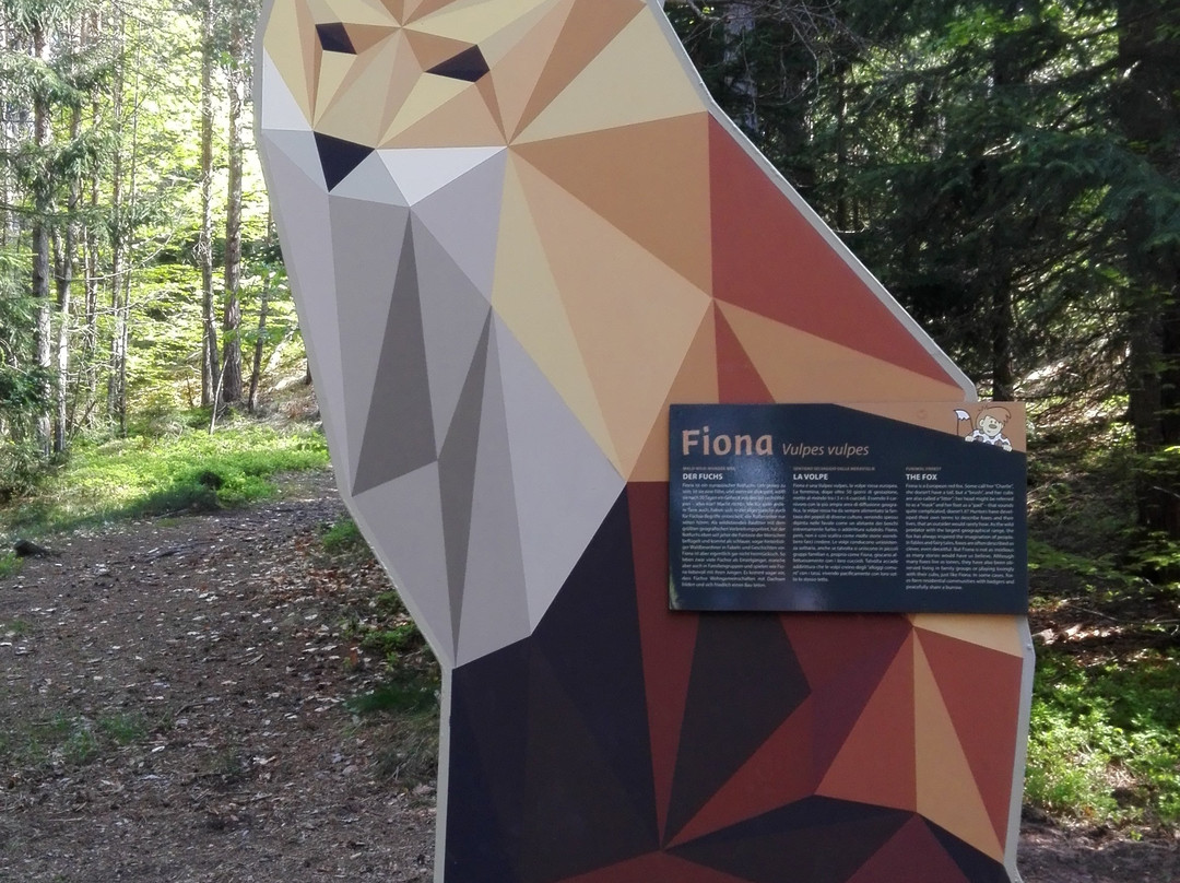 Wald-Wild-Wunder-Weg-Renon必去景点