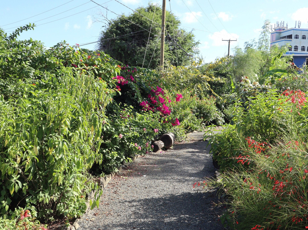 J.R. O'Neal Botanical Gardens景点图片