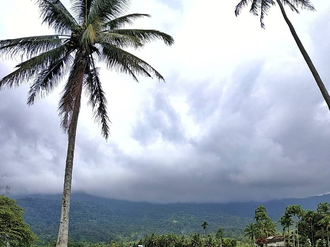 Arlen Nova's Paradise Guesthouse主图