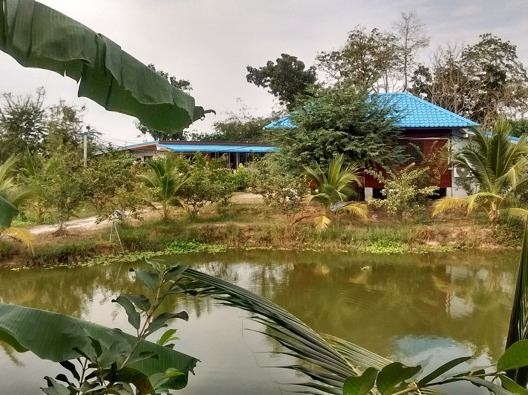 BN Organic Farm Resort主图