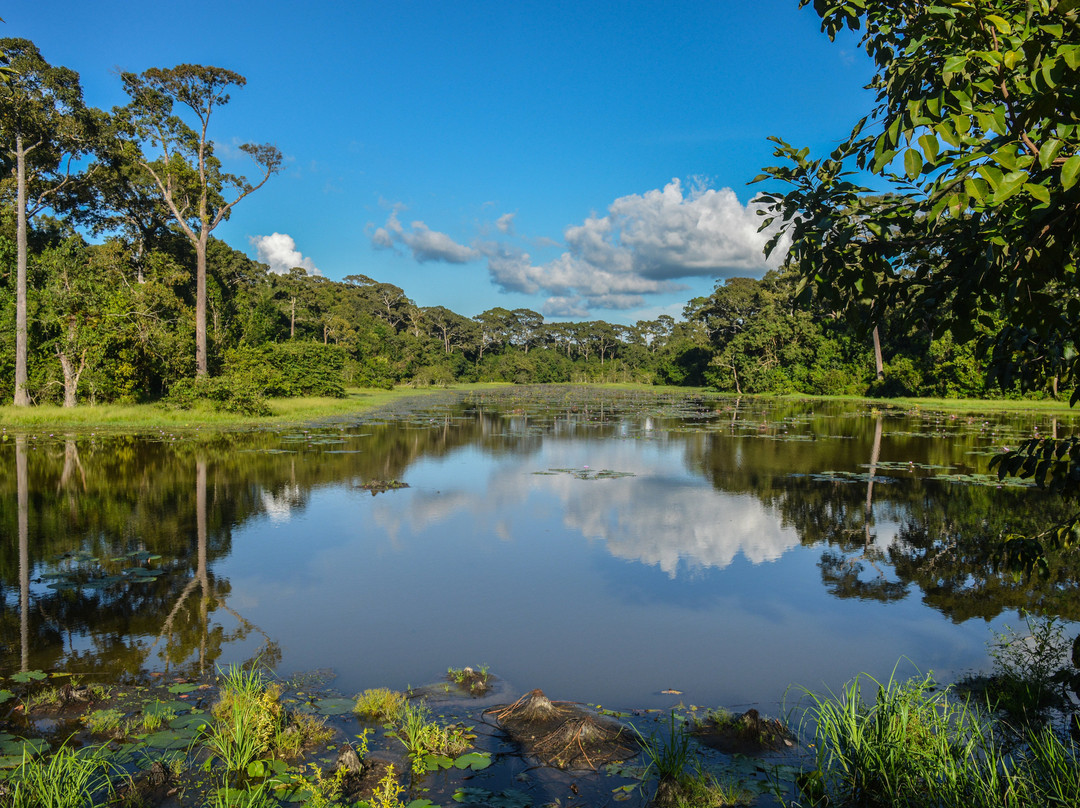 Dulahazra Safari Park景点图片