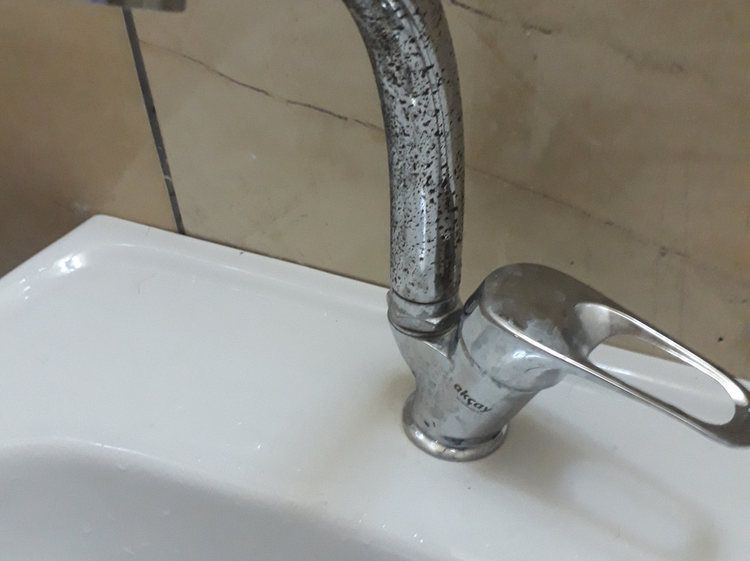 royal özçelik otel主图