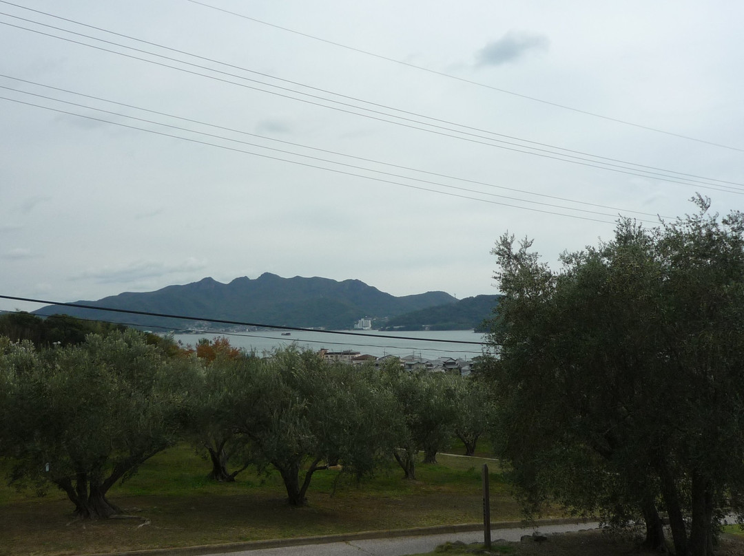 小豆岛橄榄园景点图片