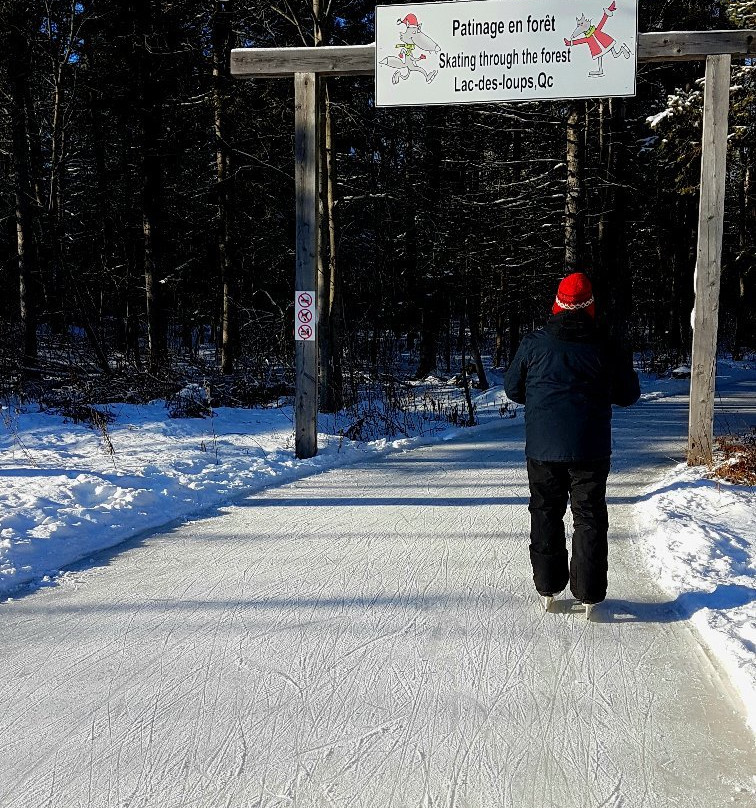 Patinage En Foret-Lac-des-Loups必去景点