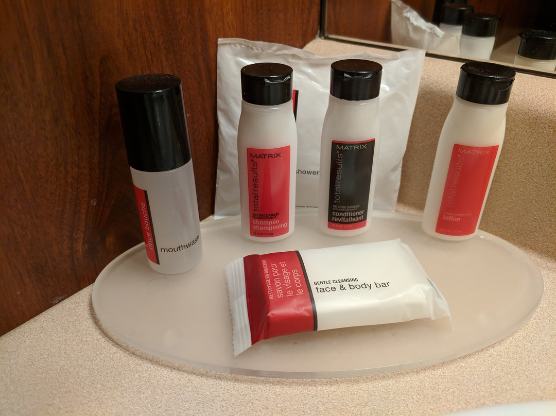 Ramada by Wyndham Surrey/Langley主图