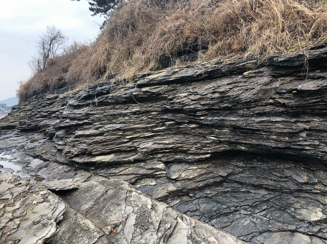 Gyeokpohang Fish Market-扶安郡必去景点