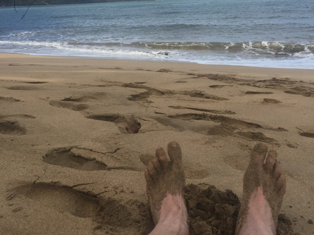 Hanalei Surfboard House主图