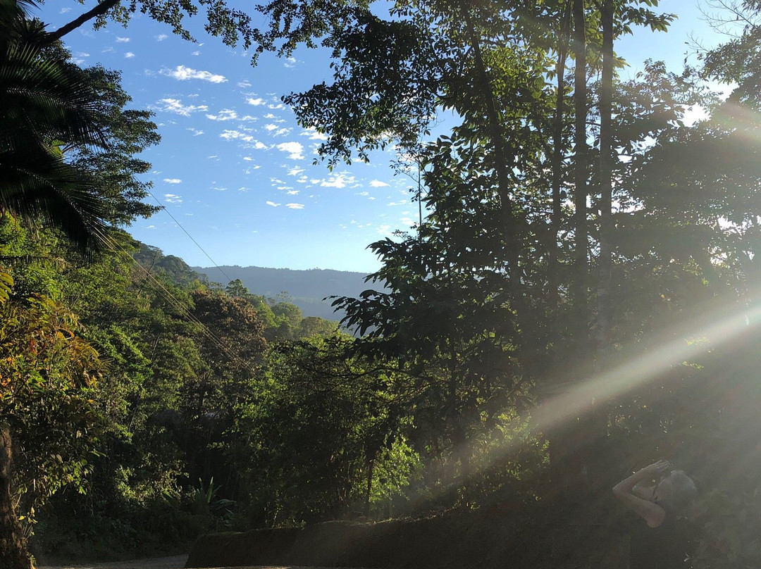 Oro Verde Biological Reserve景点图片