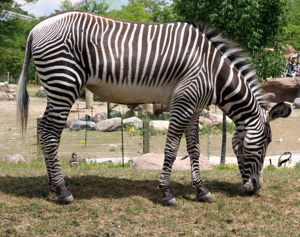 Climax Safaris-坎帕拉必去景点