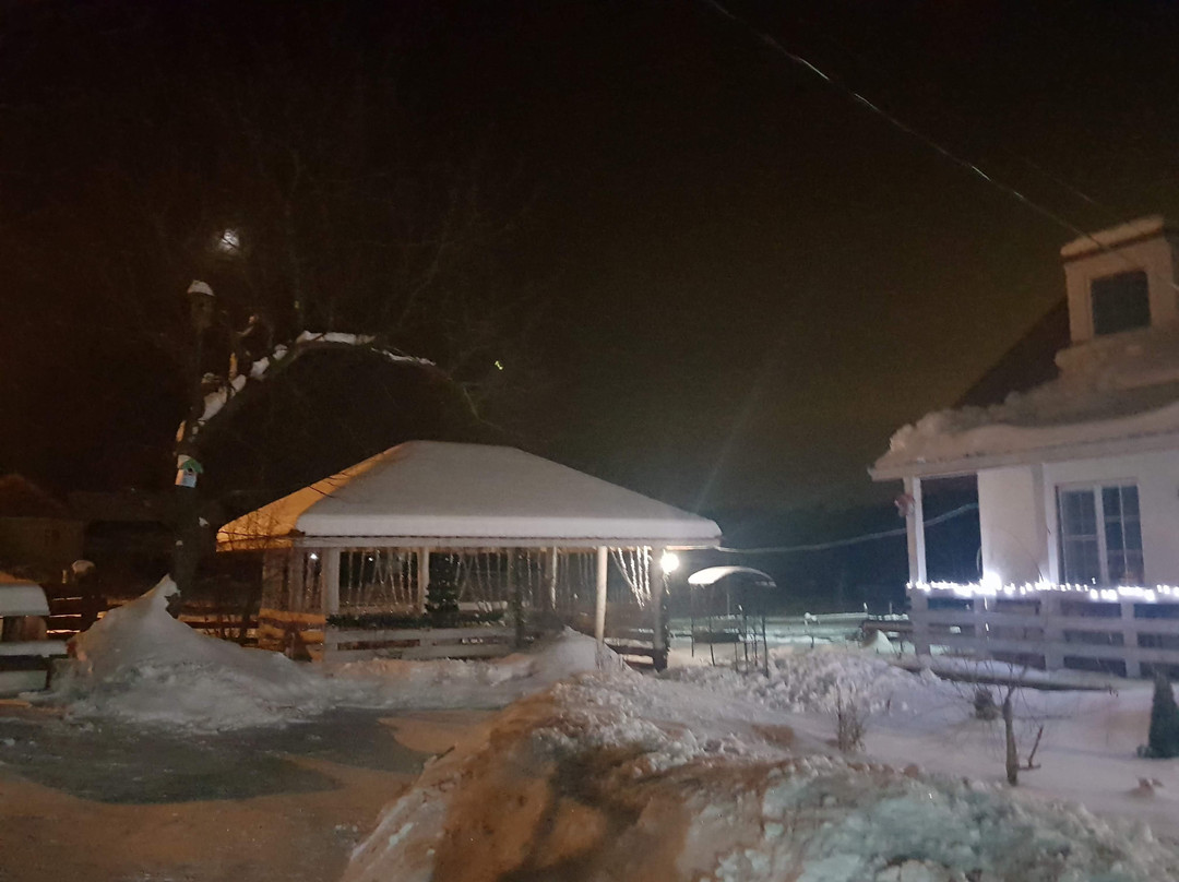 Teply Khutor guest house主图
