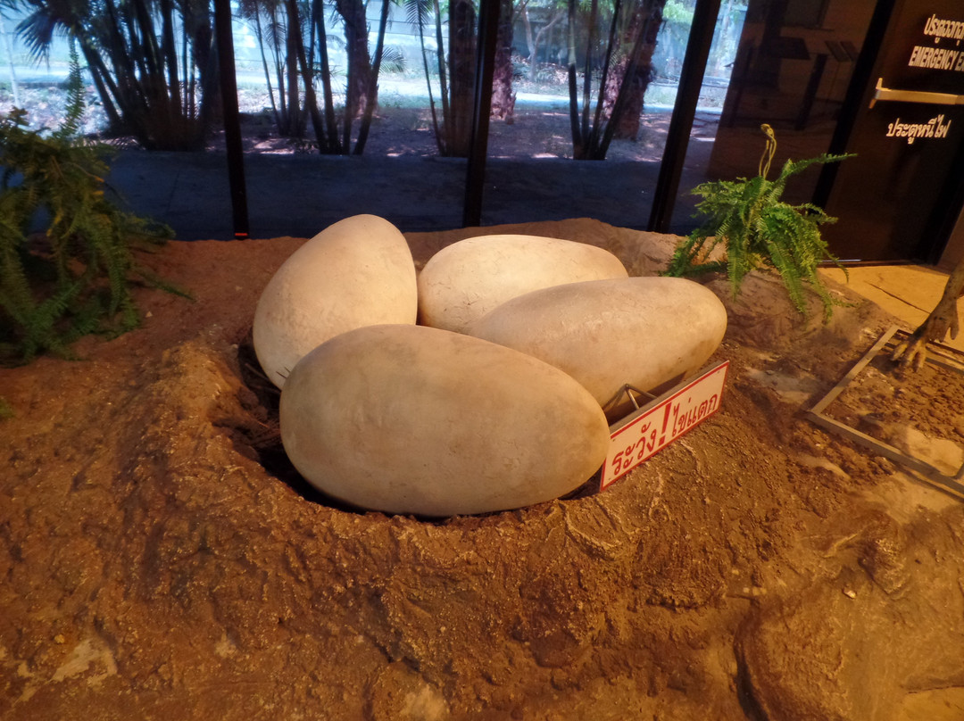 Kalasin Museum-加拉信必去景点