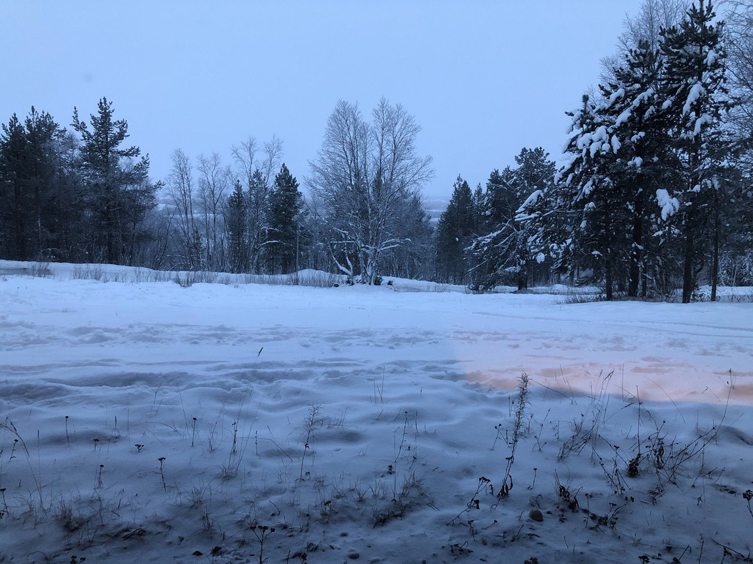 Davvi Arctic Lodge主图