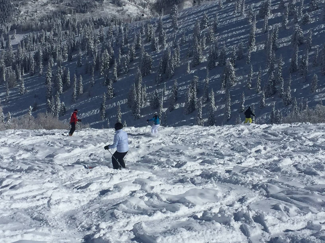 Bumps for Boomers-阿斯蓬必去景点