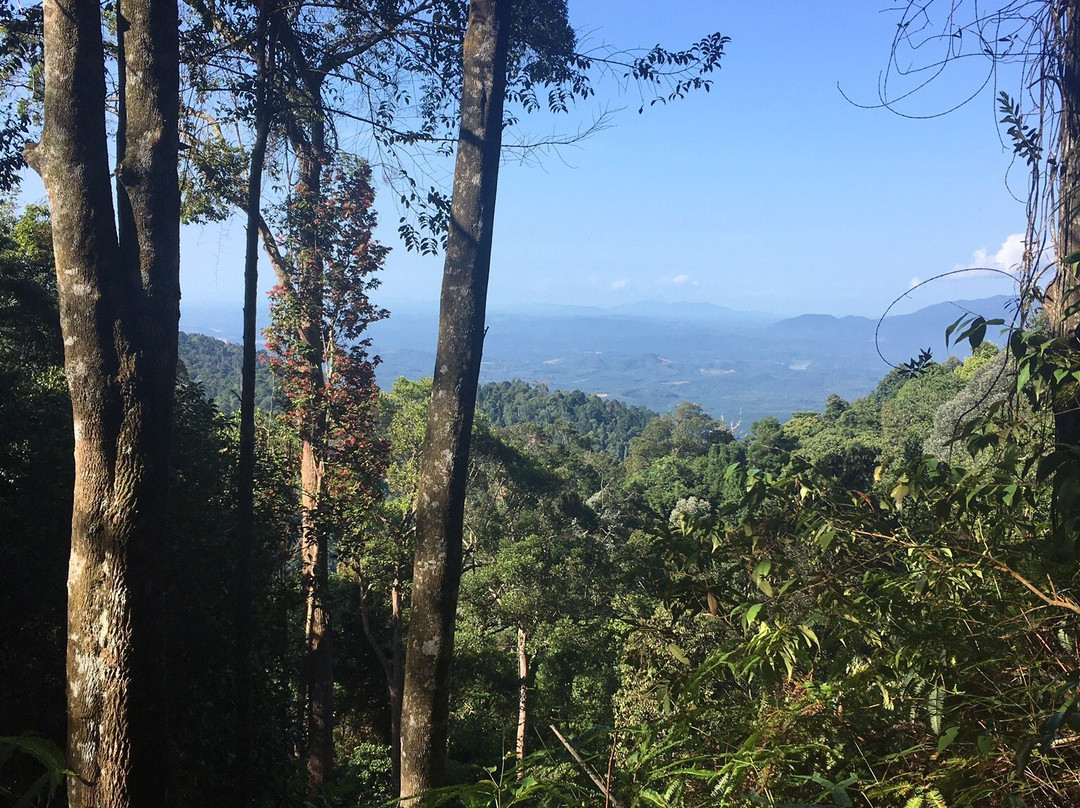 Bukit Kledang-怡保必去景点