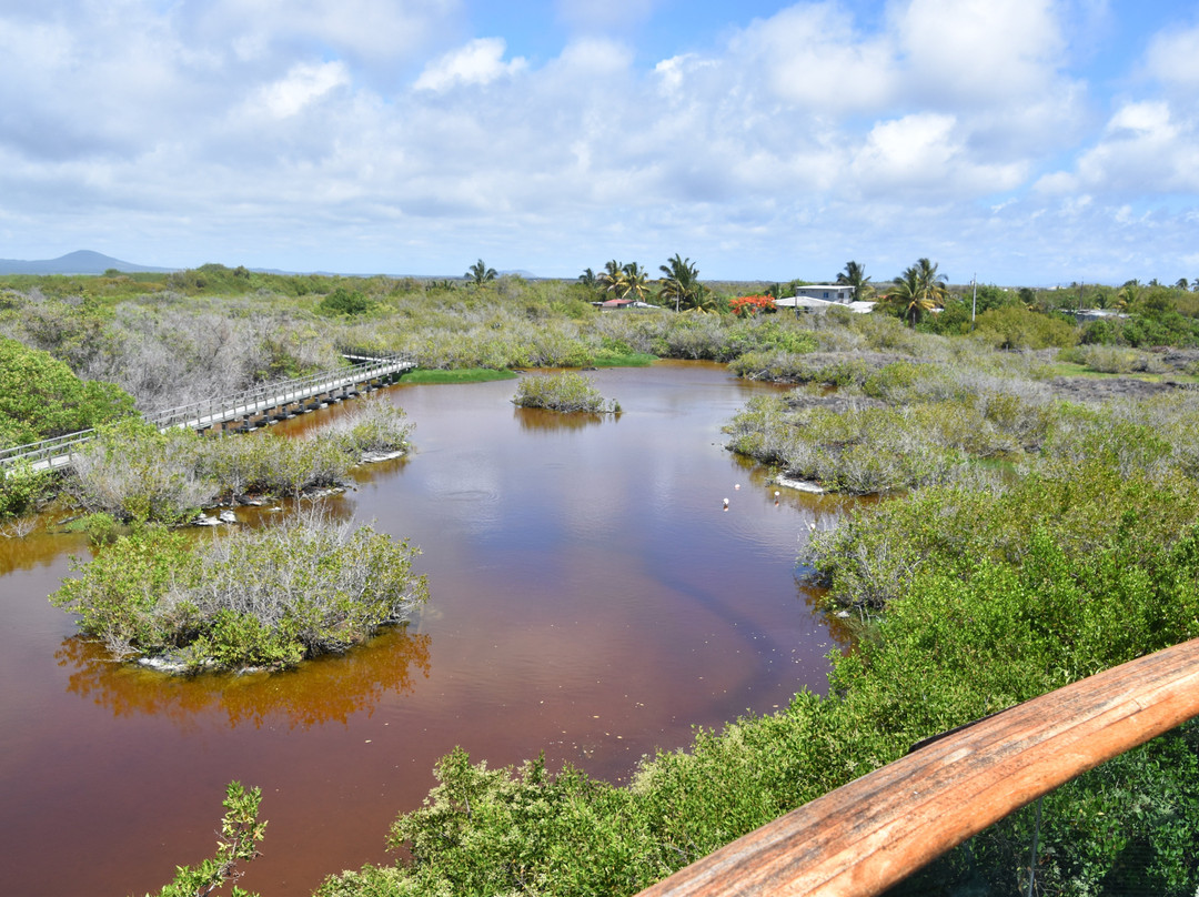 伊瓜纳十字精品酒店主图