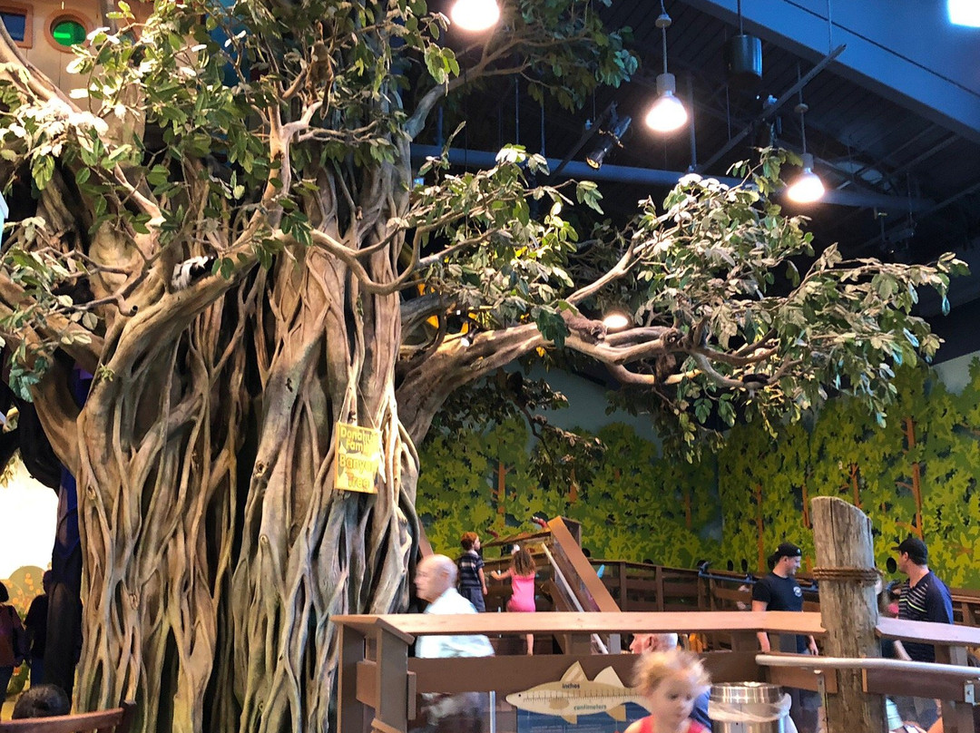 Golisano Children's Museum of Naples-那不勒斯必去景点