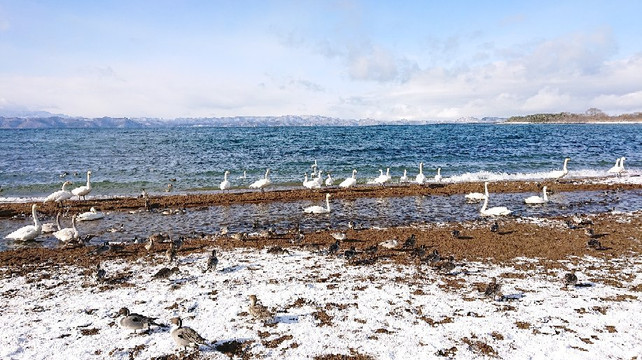 Shidahama-猪苗代町必去景点