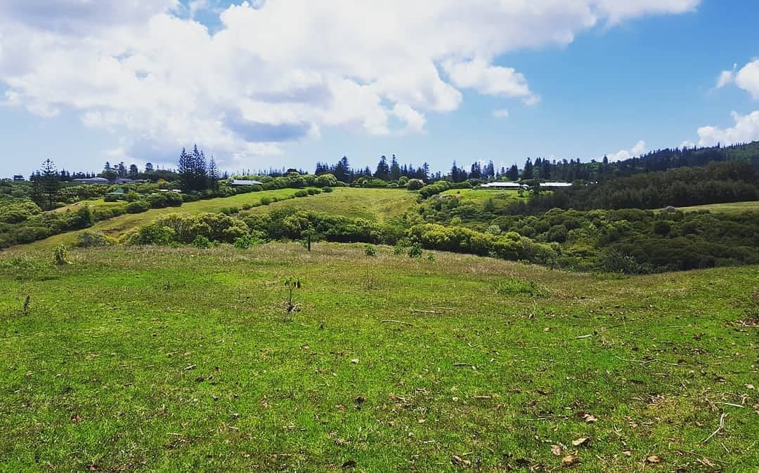 Castaway Norfolk Island主图