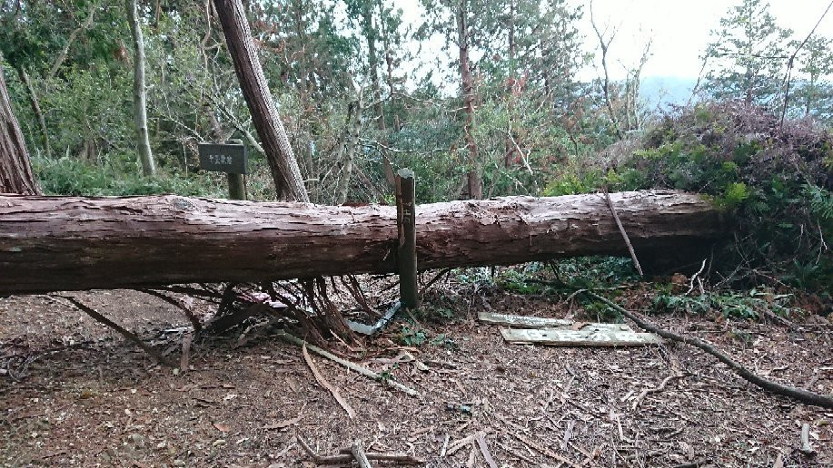 Okuyama Ameyama Nature Park-熊取町必去景点