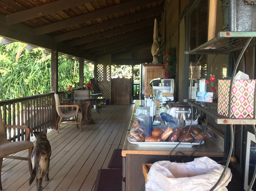 Hawaii Island Resort主图