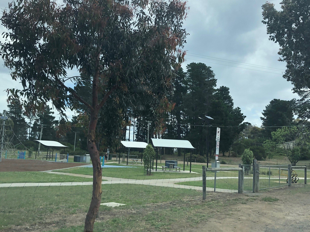 Boat Park-索雷尔必去景点