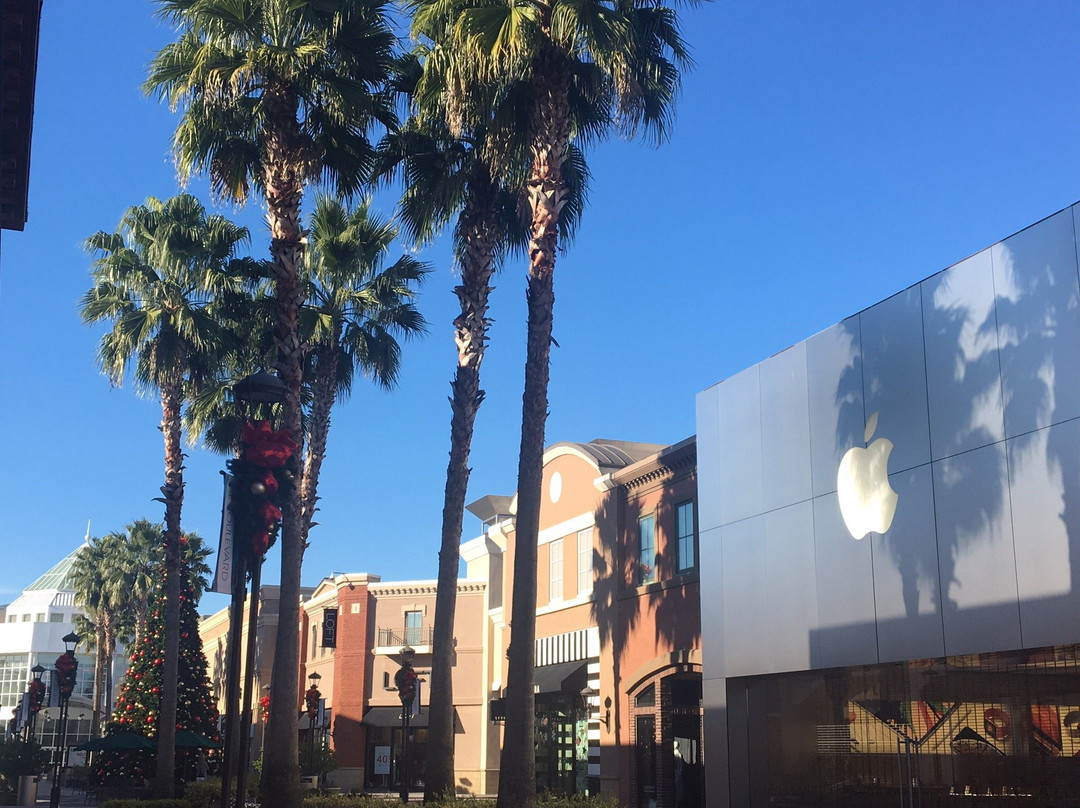 Mall of Louisiana-巴吞鲁日必去景点