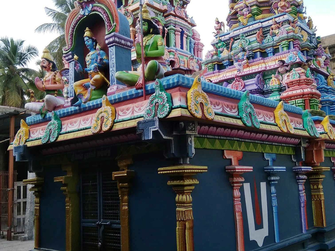 Ulagalantha Perumal Temple景点图片