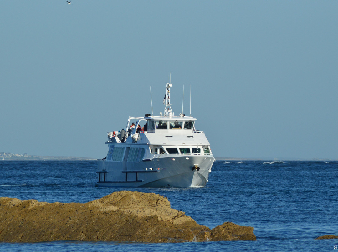 Compagnie Maritime Penn Ar Bed-Audierne必去景点