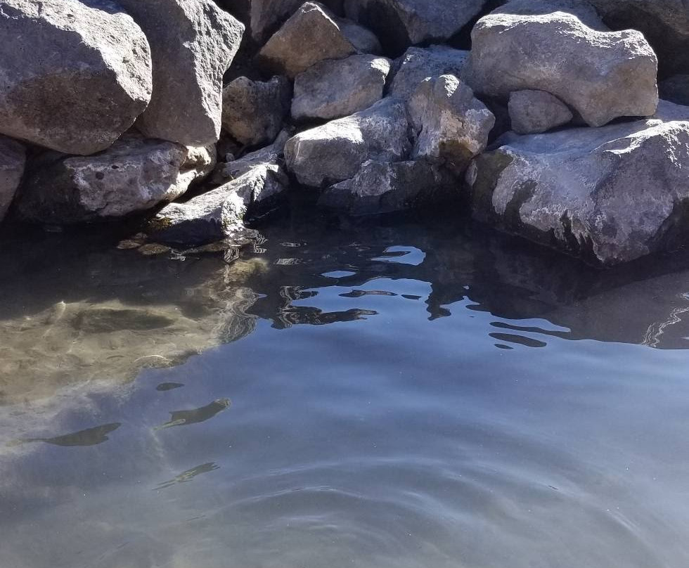 Black Rock Hot Springs-Arroyo Hondo必去景点