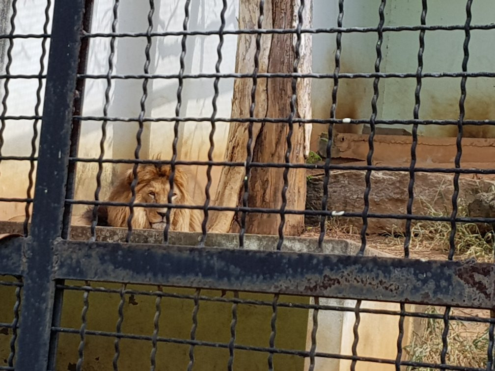 Zoológico de Varginha景点图片