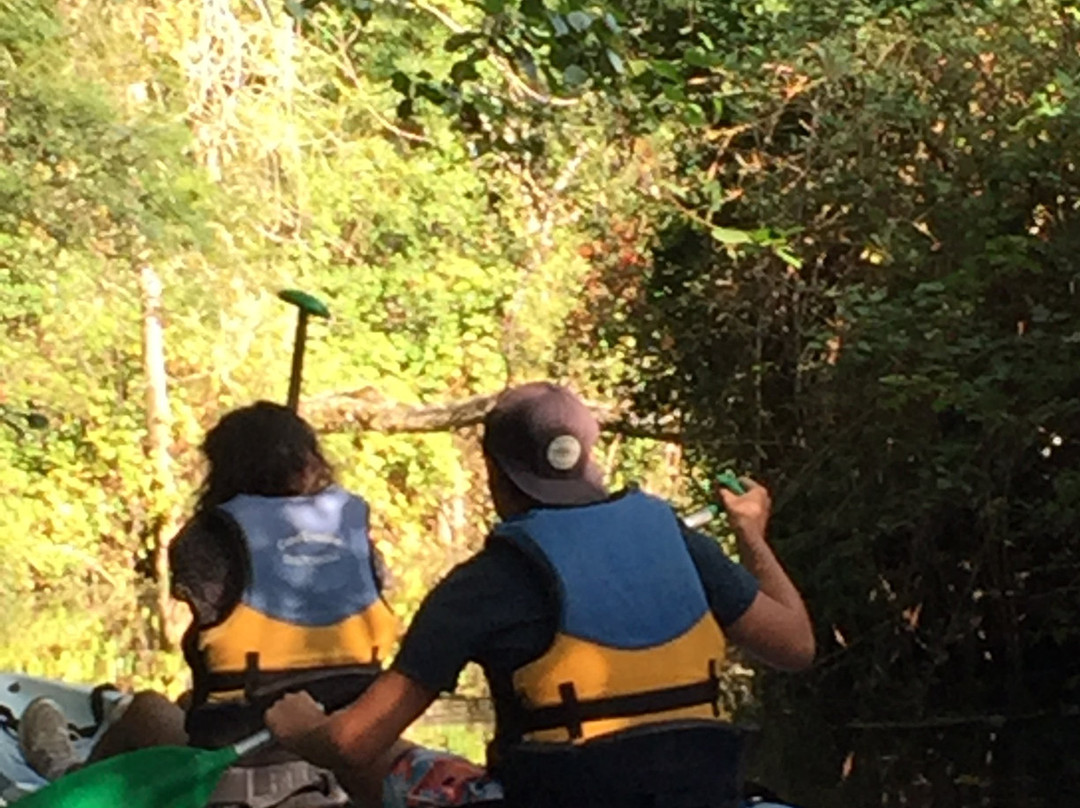 Canoë Vendée-La Chaize Giraud必去景点