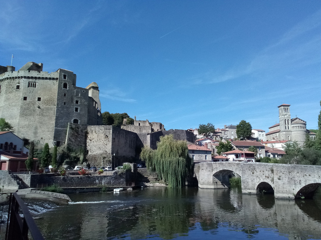 Chateau de Clisson景点图片