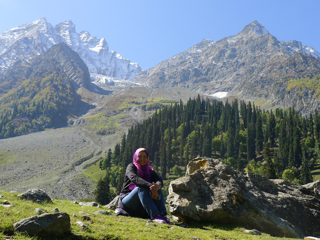 Hospitality Tours and Travels-斯利那加必去景点