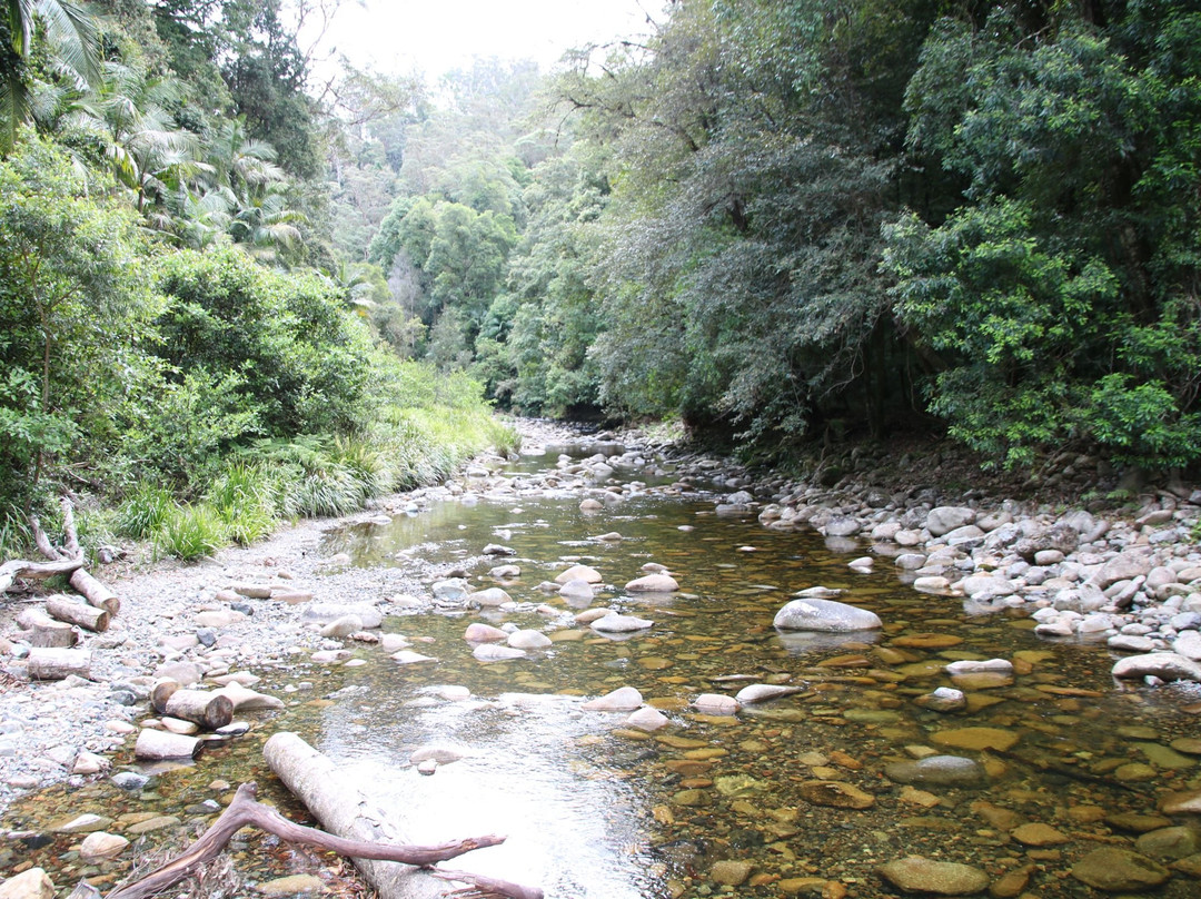 Waterfall Walk-Wauchope必去景点