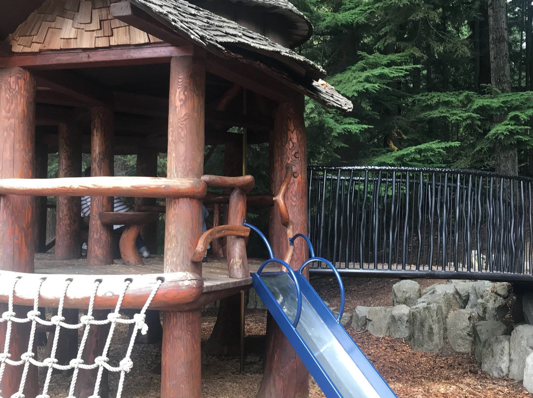 Alpha Lake Park-惠斯勒必去景点